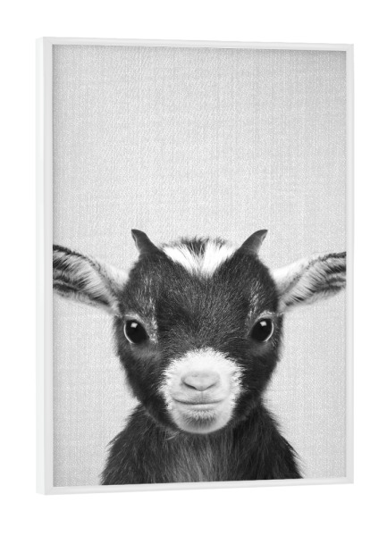 Poster mit weißem Rahmen "Baby Goat - Black & White" artboxONE - Für Kinder,Tiere,Schwarzweiß