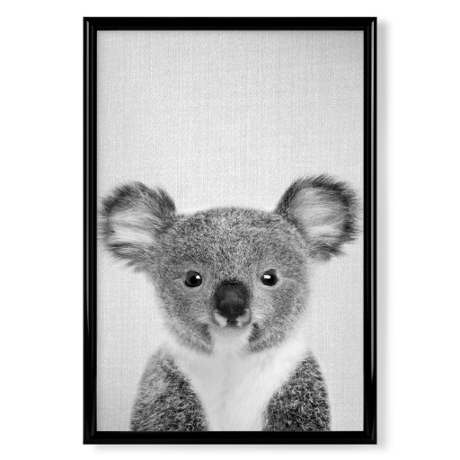 Baby Koala - Black & White