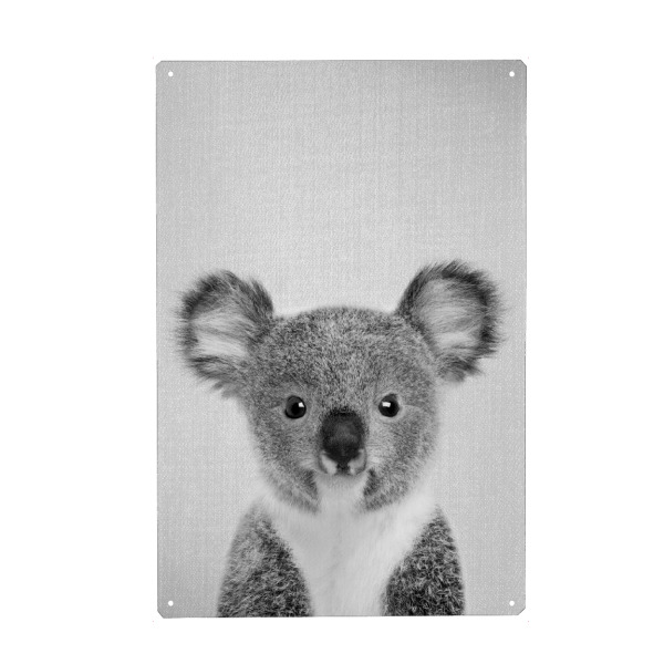 Metall Poster "Baby Koala - Black & White" artboxONE - Für Kinder,Tiere,Schwarzweiß