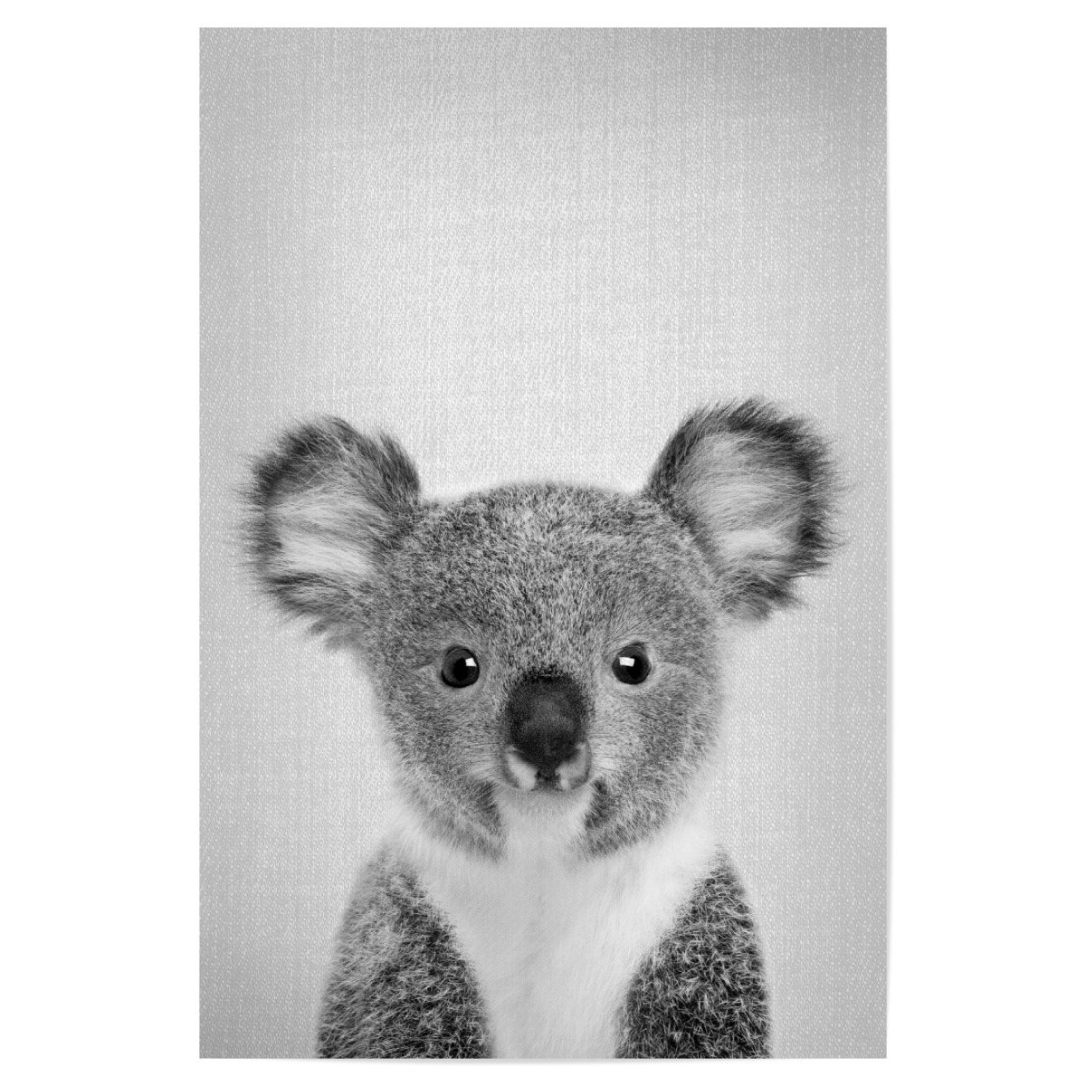 Baby Koala Black White Als Poster Bei Artboxone Kaufen