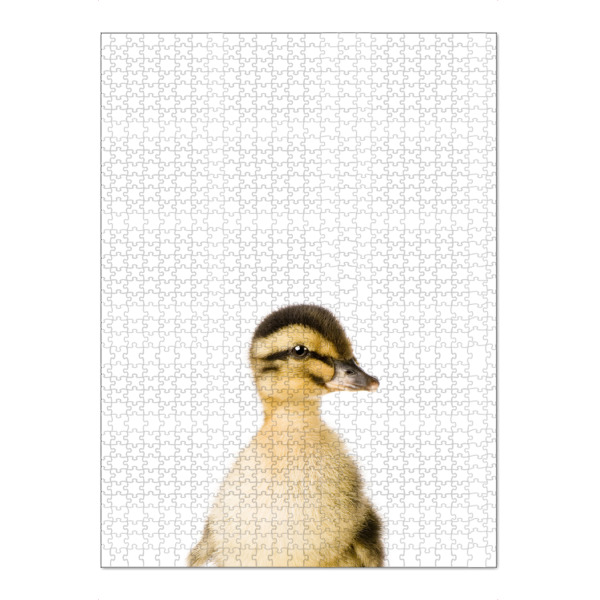 Puzzle Ravensburger "Baby Duck" artboxONE - Tiere - Farm,Animal,Wildlife,Children,Baby,Duck,Duckling - Bild farm