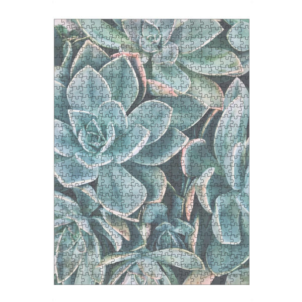 Puzzle Ravensburger "SUCCULENT PHOTOGRAPHY ART" artboxONE - Natur - Succulent photography,Kaktus,Succulent,Blumen,Pflanze,Plants,Cactus
