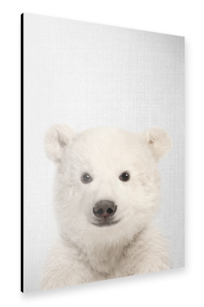 Alu-Dibond "Baby Polar Bear - Colorful" 30x20 cm artboxONE
