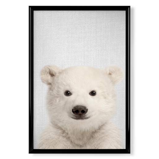 Baby Polar Bear - Colorful