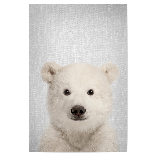 Poster "Baby Polar Bear - Colorful" artboxONE - Für Kinder,Tiere