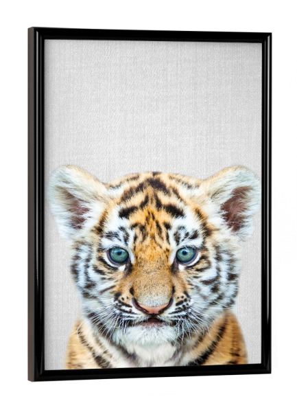 Poster mit schwarzem Rahmen "Baby Tiger - Colorful" artboxONE - Für Kinder,Tiere