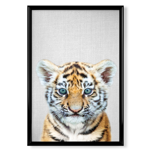 Baby Tiger - Colorful