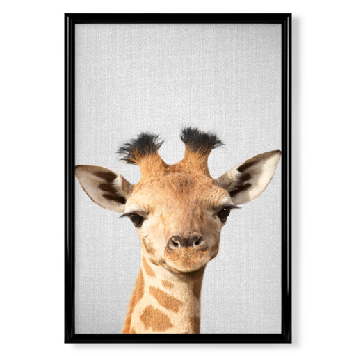 Baby Giraffe - Colorful