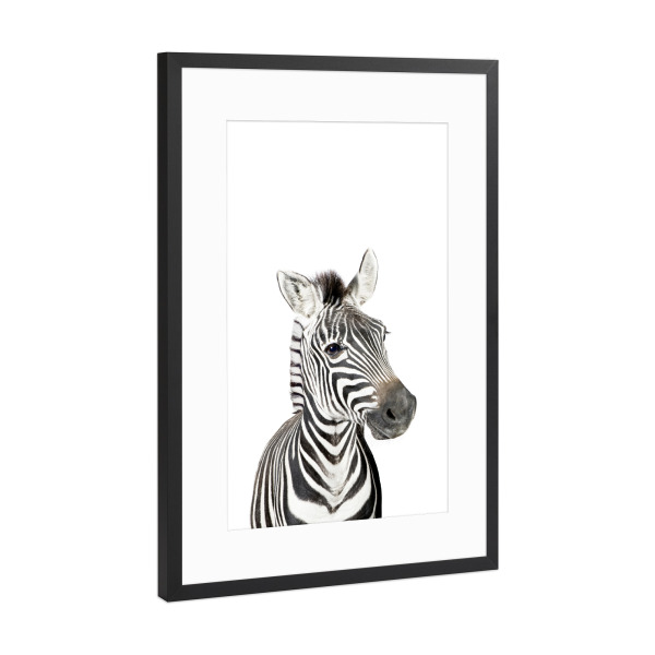 Poster mit Rahmen Schwarz (Metallic) "Litte Zebra" artboxONE - Tiere,Schwarzweiß - Zebra,Safari,Animal,Nursery art,Baby,Children