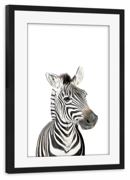 Poster mit Rahmen schwarz "Litte Zebra" artboxONE - Tiere,Schwarzweiß - Zebra,Safari,Animal,Nursery art,Baby,Children