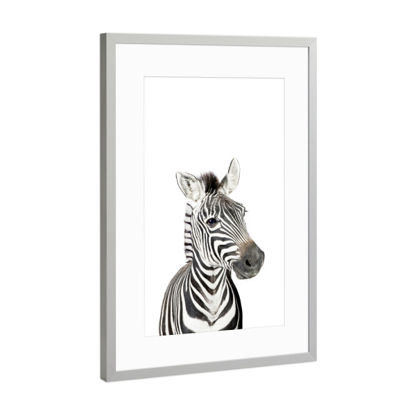 Poster mit Rahmen Silber "Litte Zebra" artboxONE - Tiere,Schwarzweiß - Zebra,Safari,Animal,Nursery art,Baby,Children