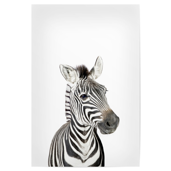 Poster "Litte Zebra" artboxONE - Tiere,Schwarzweiß - Zebra,Safari,Animal,Nursery art,Baby,Children