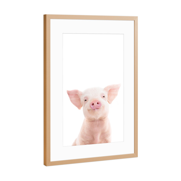 Poster mit Rahmen Kupfer "Piglet" artboxONE - Tiere - Pig,Piglet,Animals,Farm,Nursery