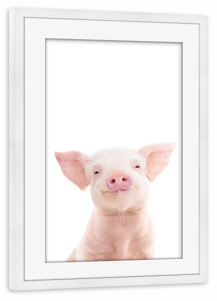 Poster mit Rahmen weiß "Piglet" artboxONE - Tiere - Pig,Piglet,Animals,Farm,Nursery