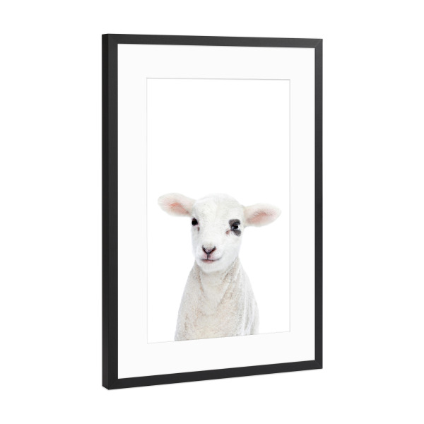 Poster mit Rahmen Schwarz (Metallic) "Baby Lamb" artboxONE - Tiere - Lamb,Sheep,Animals,Farm,Children,Nursery