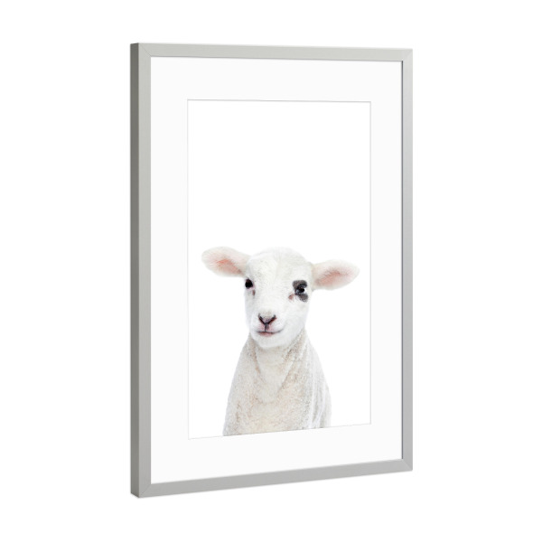 Poster mit Rahmen Silber "Baby Lamb" artboxONE - Tiere - Lamb,Sheep,Animals,Farm,Children,Nursery
