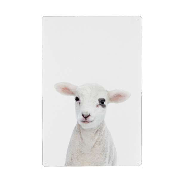 Metall Poster "Baby Lamb" artboxONE - Tiere - Lamb,Sheep,Animals,Farm,Children,Nursery - Blechschild