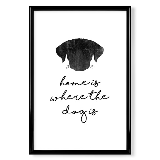 Home Is Where The Dog Is