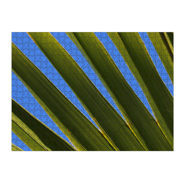 artboxONE Puzzle "Palmenblatt mit Himmel" artboxONE - Natur,Floral - Palmenblatt,Pflanze,Palme - Bild palmenblatt