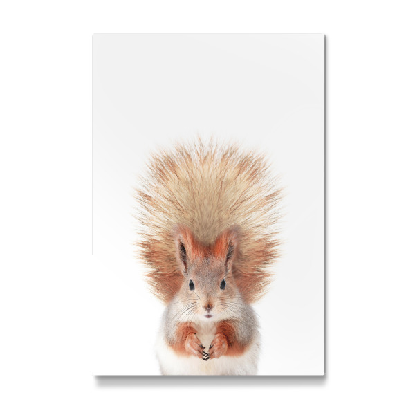Galerie-Print "Little Squirrel" 30x20 cm artboxONE