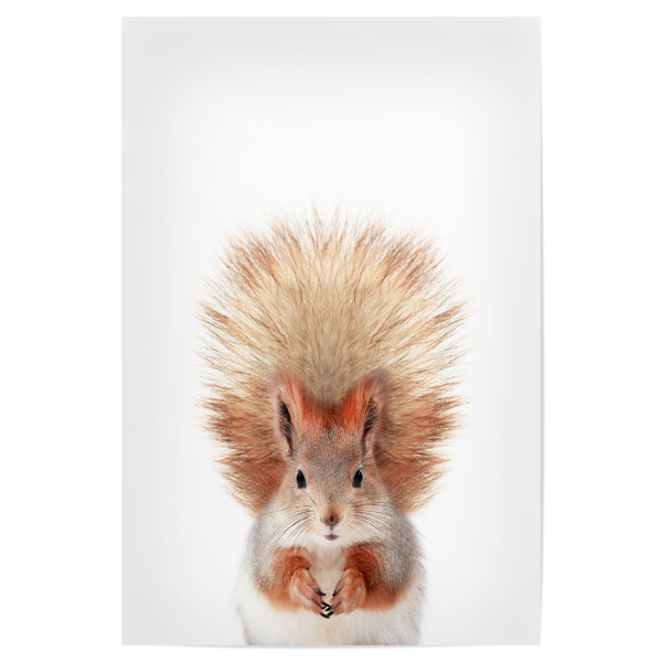 Poster "Little Squirrel" artboxONE - Tiere - Squirrel,Animal,Nursery art,Photography,Red,Forest,Woodlands