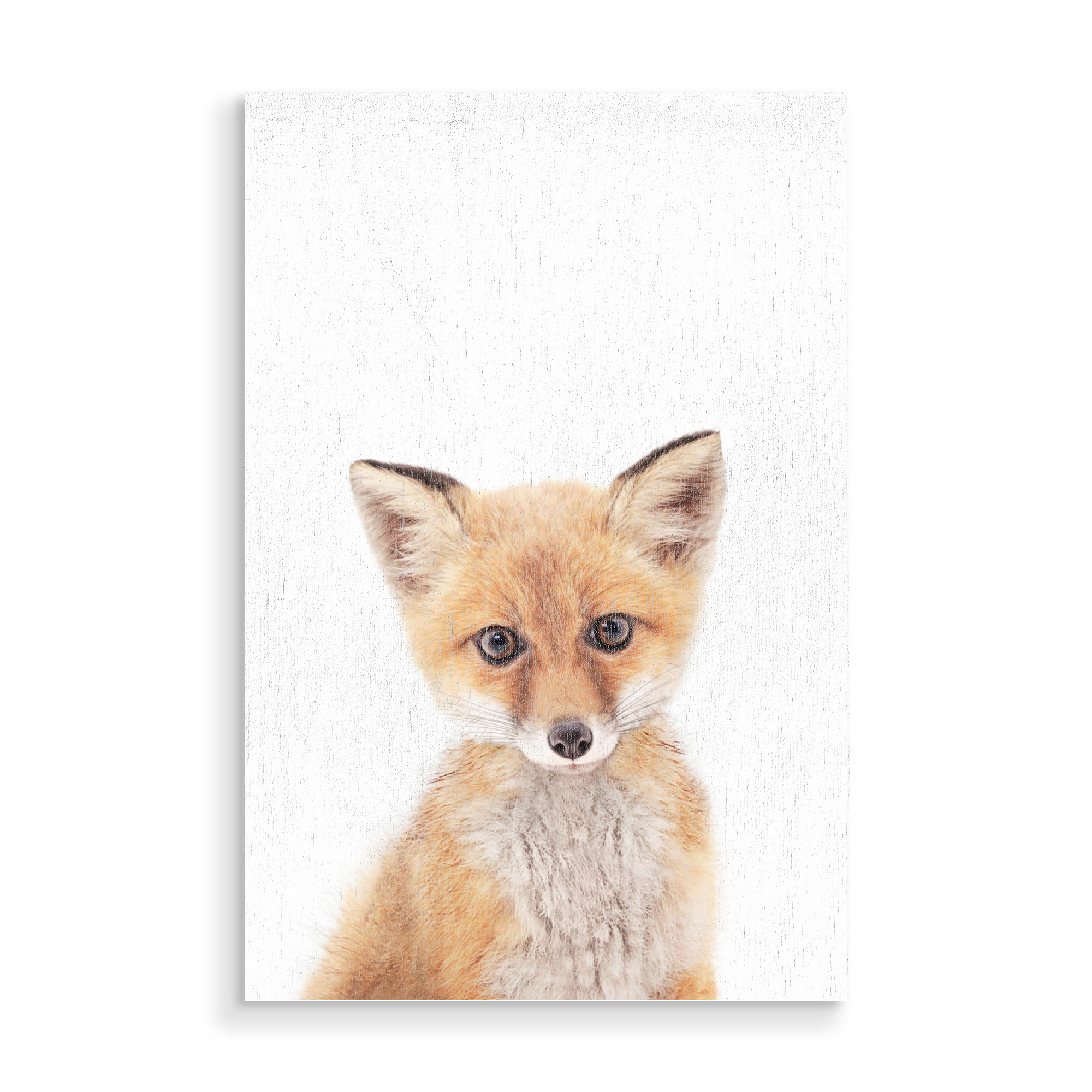 Holzbild "Ginger Fox" artboxONE - Tiere,Schwarzweiß - Animals,Fox,Forest,Woodlands,Nursery art,Baby