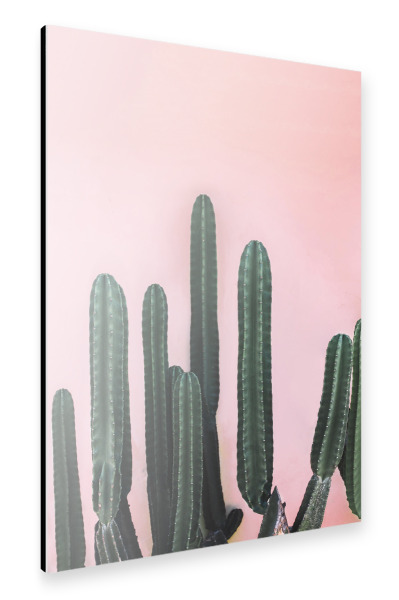 Alu-Dibond "Saguaro" 30x20 cm artboxONE