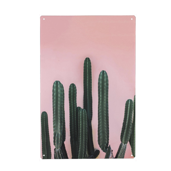 Metall Poster "Saguaro" artboxONE - Natur - Cactus,Saguaro,Green,Pink,Peach,Mexico,Cacti - Blechschild