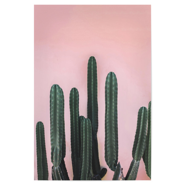 Poster 30x20 cm "Saguaro" artboxONE - Natur - Cactus,Saguaro,Green,Pink,Peach,Mexico,Cacti