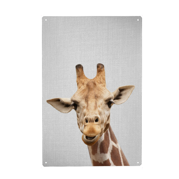 Metall Poster "Giraffe - Colorful" artboxONE - Für Kinder,Tiere,Reise / Afrika