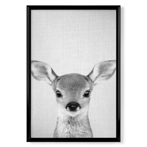 Baby Deer - Black & White