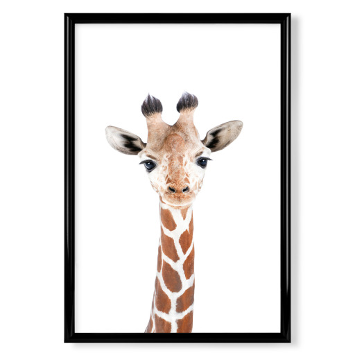 Little Giraffe