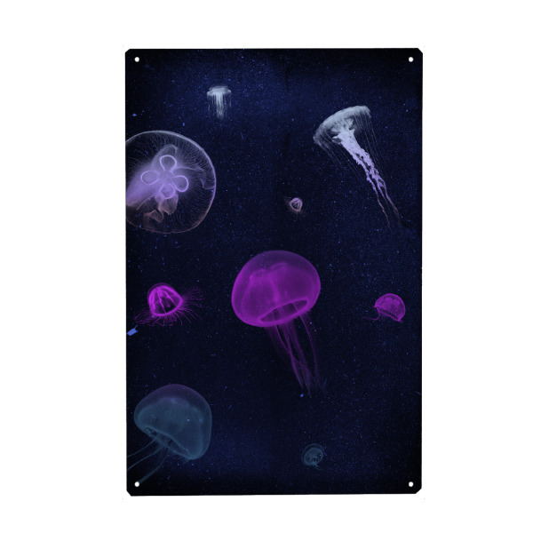 Metall Poster "Hochseetraum" artboxONE - Natur,Tiere,Unterwasser - Quallen,Jellyfish,Tiere,Meer,Unterwasser,Hochsee,Insel,Wasser,Reisen - Blechschild