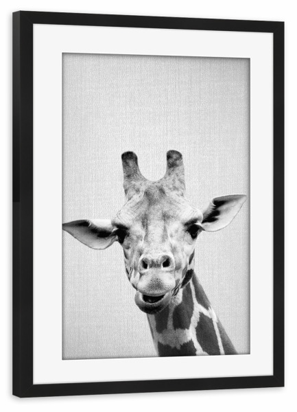 Poster mit Rahmen schwarz "Giraffe - Black & White" artboxONE - Für Kinder,Tiere,Schwarzweiß