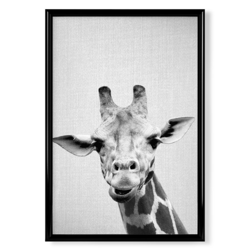 Giraffe - Black & White