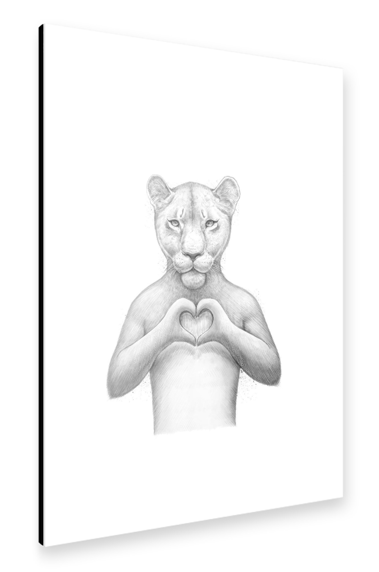 Alu-Dibond "Girl Lion with heart" 75x50 cm artboxONE