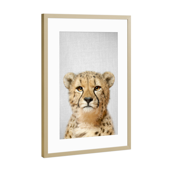 Poster mit Rahmen Gold "Cheetah - Colorful" artboxONE - Für Kinder,Tiere
