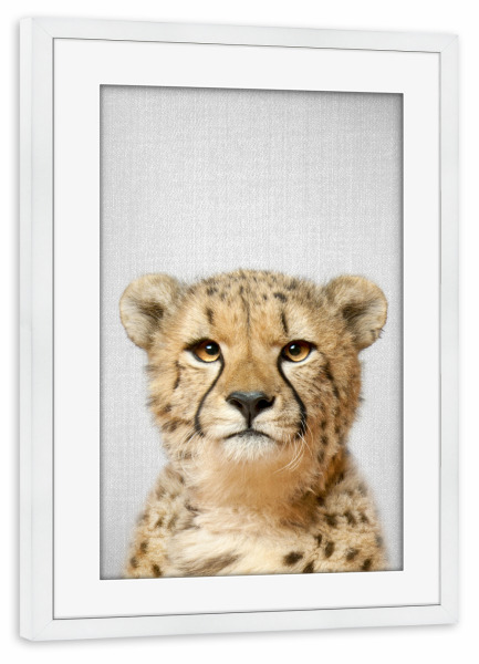Poster mit Rahmen weiß "Cheetah - Colorful" artboxONE - Für Kinder,Tiere