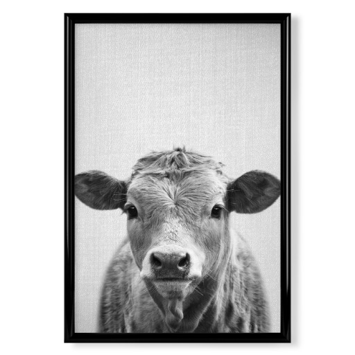 Cow - Black & White