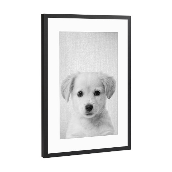 Poster mit Rahmen Schwarz (Metallic) "Golden Retriever Puppy - B & W" artboxONE - Für Kinder,Tiere,Schwarzweiß