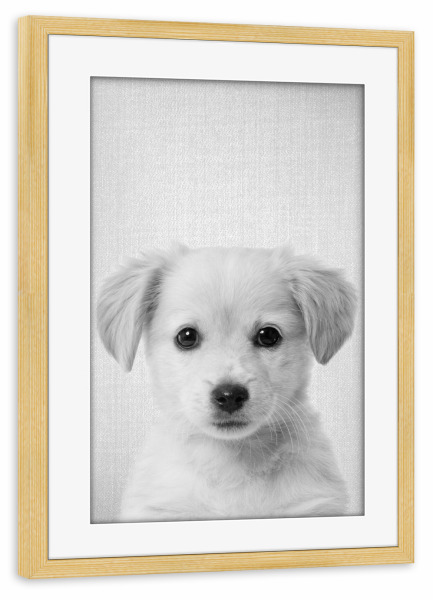 Poster mit Rahmen kiefer "Golden Retriever Puppy - B & W" artboxONE - Für Kinder,Tiere,Schwarzweiß