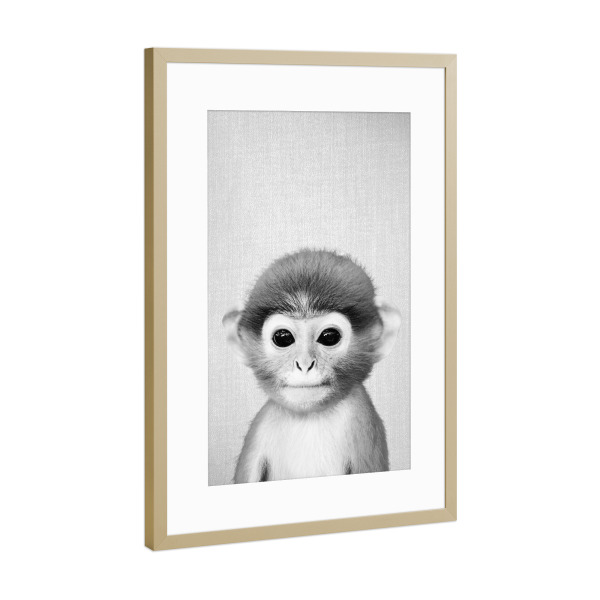 Poster mit Rahmen Gold "Baby Monkey - Black & White" artboxONE - Für Kinder,Tiere,Schwarzweiß