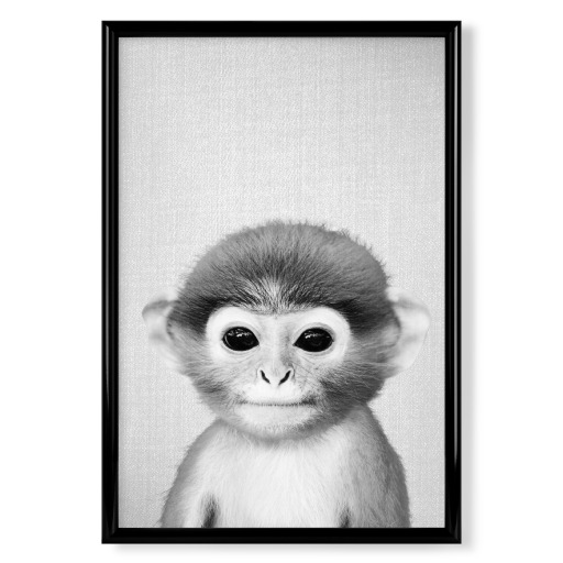 Baby Monkey - Black & White