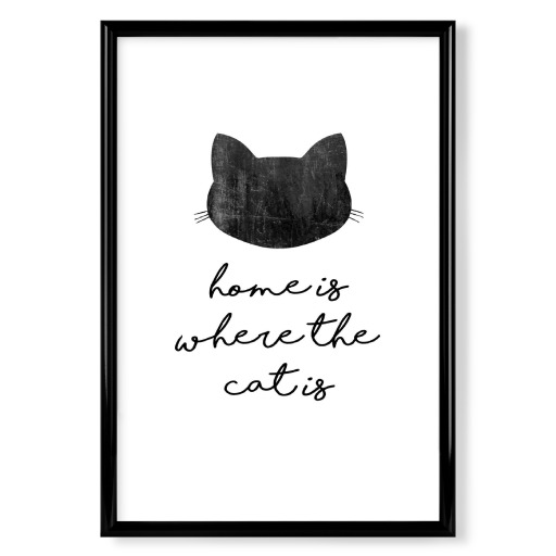 Home Is Where The Cat Is