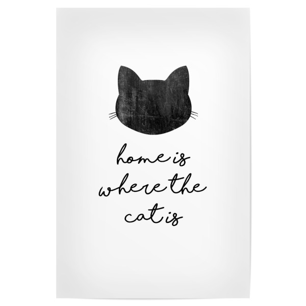 Poster 30x20 cm "Home Is Where The Cat Is" artboxONE - Typografie,Tiere,Schwarzweiß