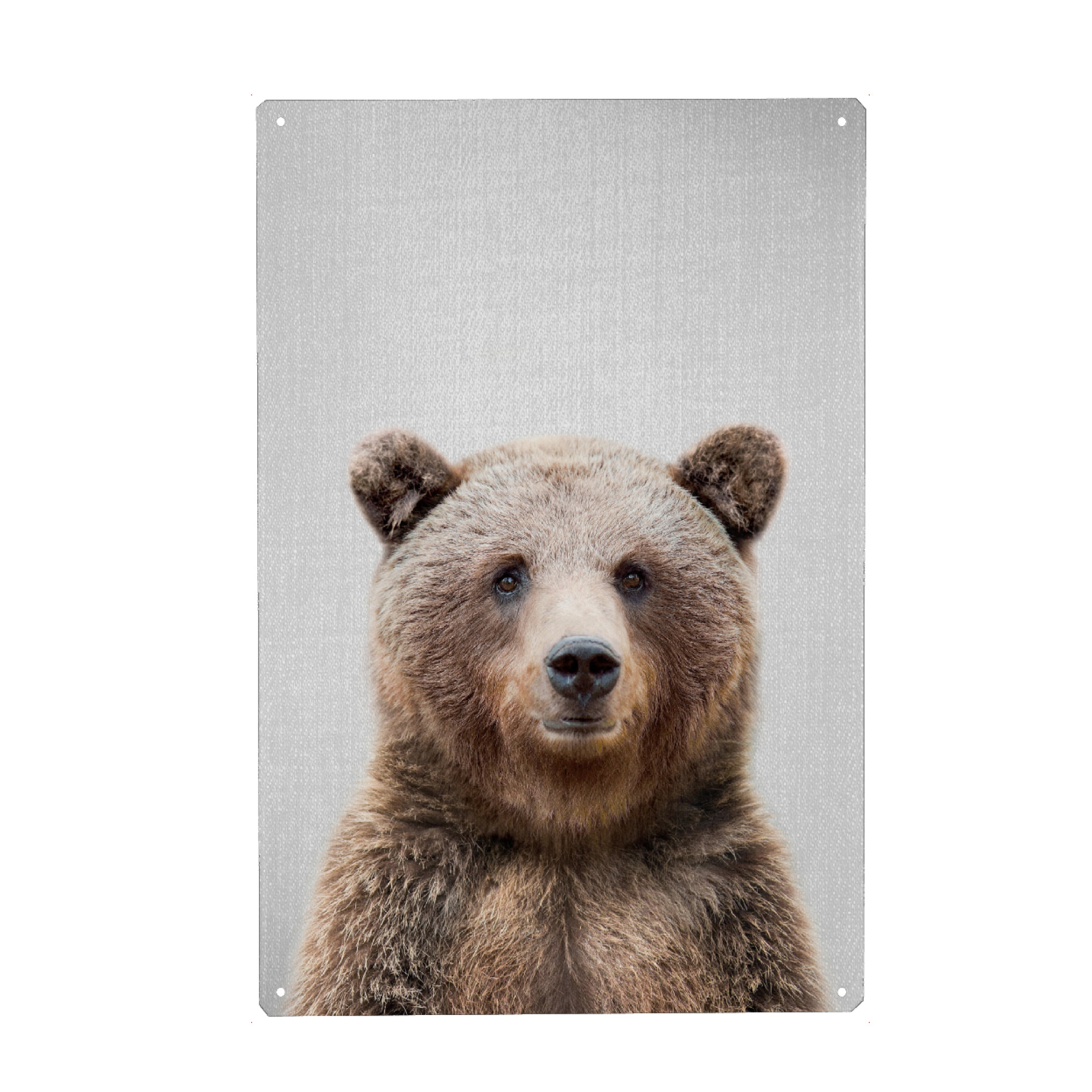 Holzbild "Grizzly Bear - Colorful" artboxONE - Für Kinder,Tiere