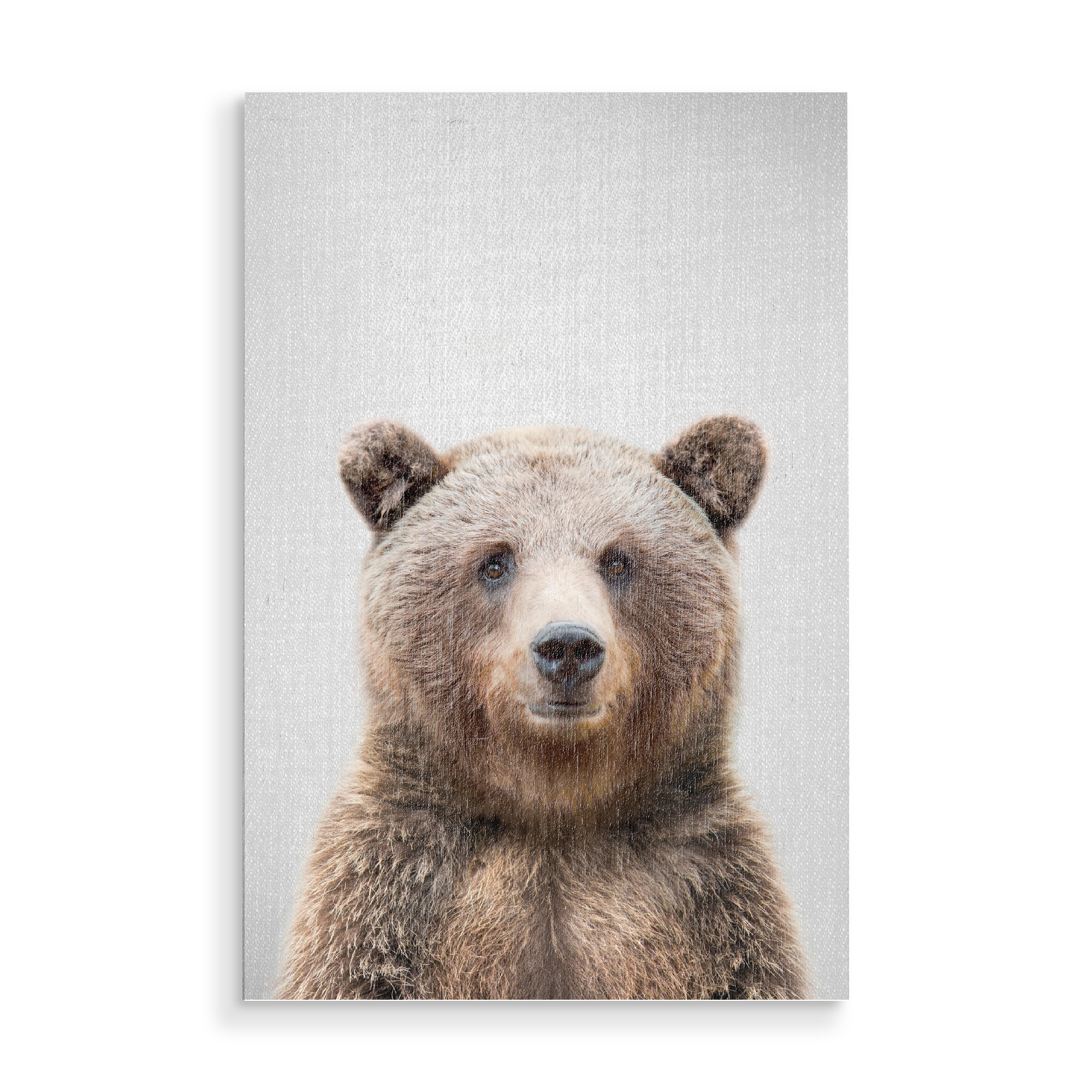 Holzbild "Grizzly Bear - Colorful" artboxONE - Für Kinder,Tiere