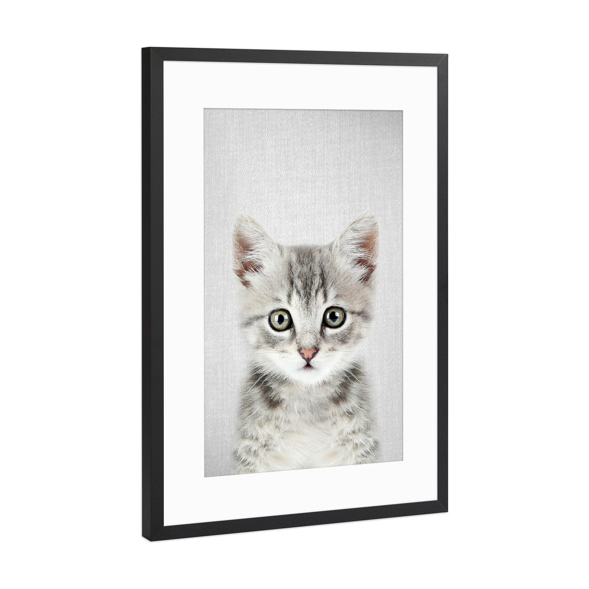 Poster mit Rahmen Schwarz (Metallic) "Kitten - Colorful" artboxONE - Für Kinder,Tiere