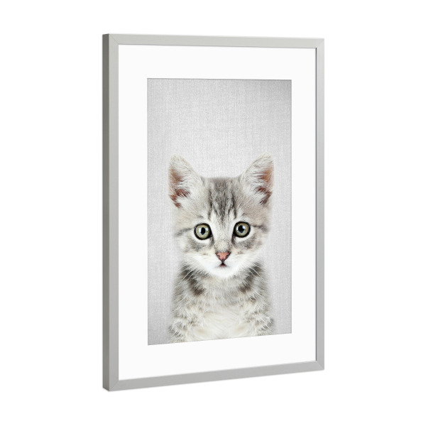Poster mit Rahmen Silber "Kitten - Colorful" artboxONE - Für Kinder,Tiere