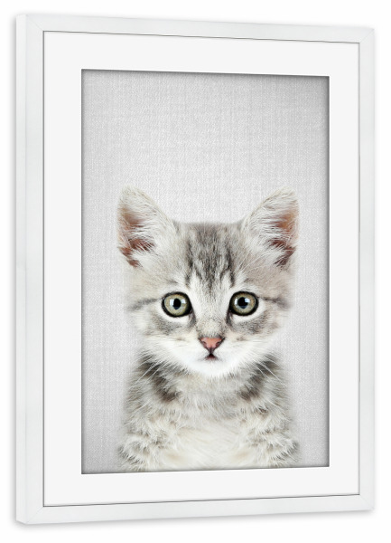 Poster mit Rahmen weiß "Kitten - Colorful" artboxONE - Für Kinder,Tiere